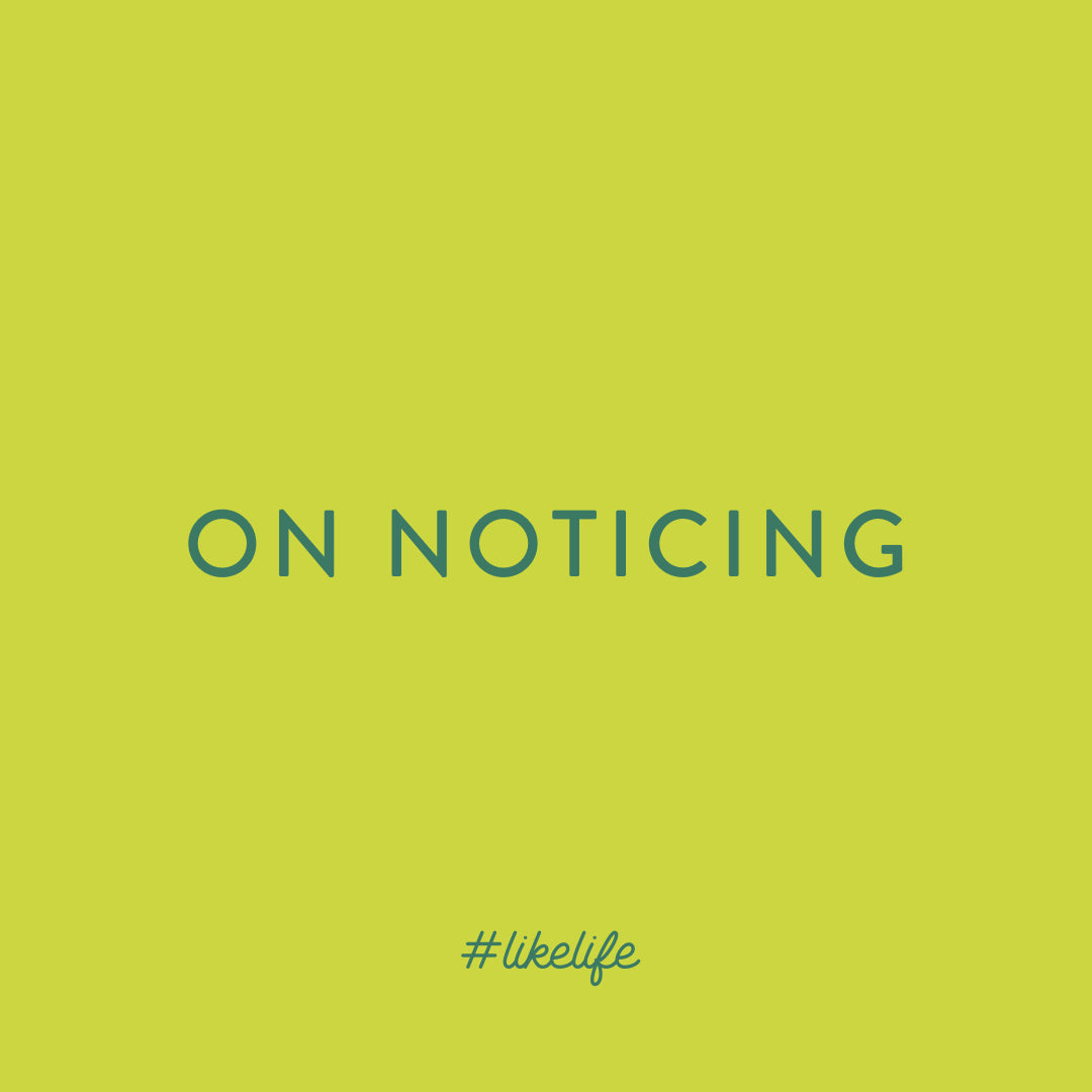 Project #LikeLife: Noticing