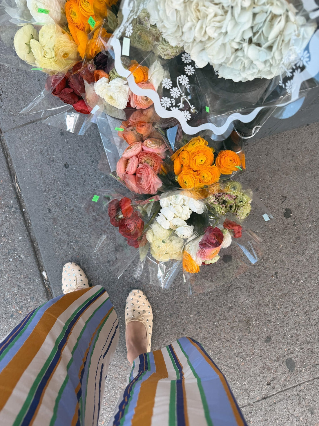 Styling Statement Pants