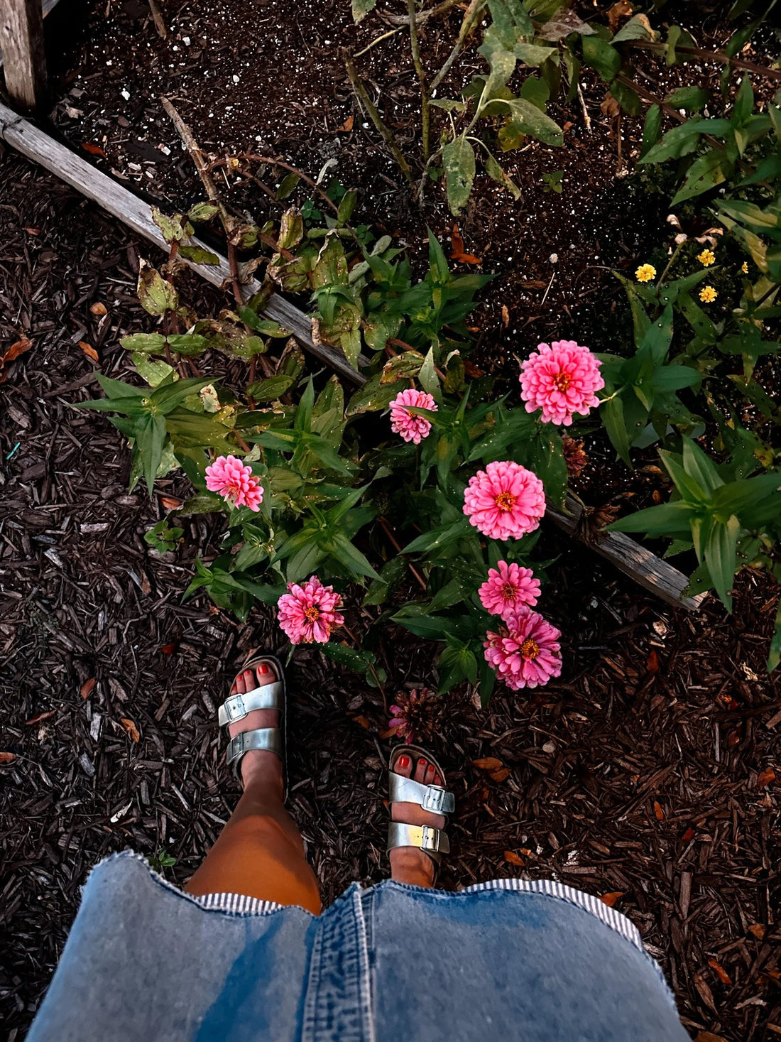 Noticing | Volume 6
